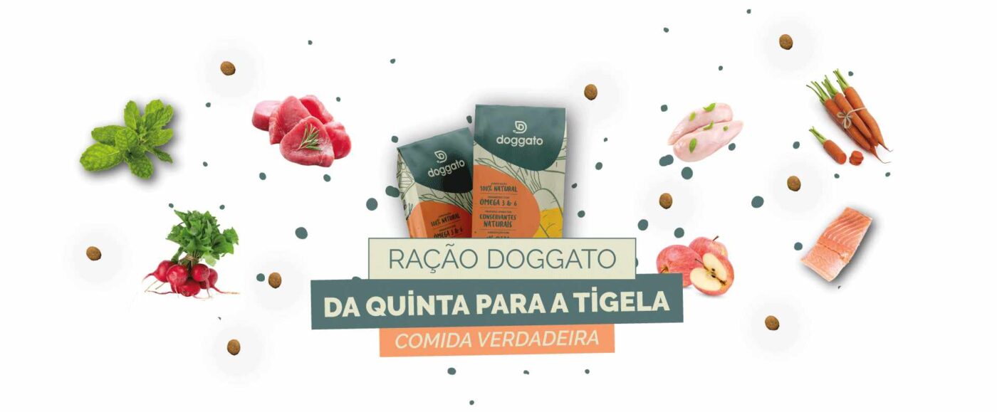 doggato.pt