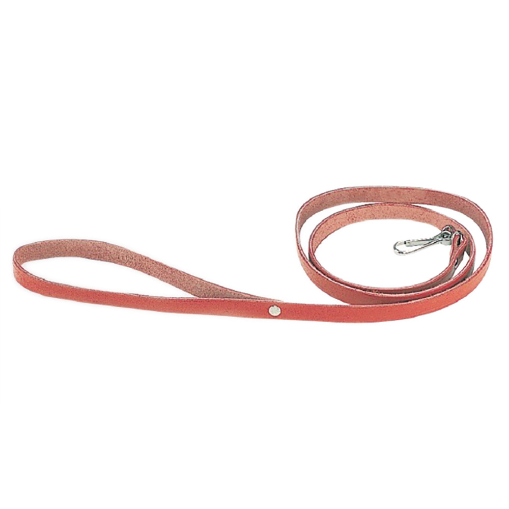 Trela de couro natural para cão