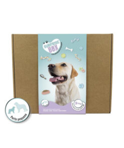 Box Surpresa para Cão