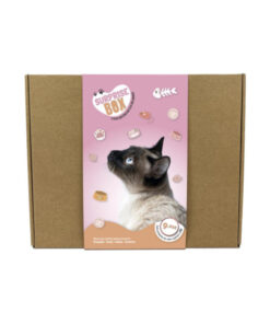 Box Supressa Gato